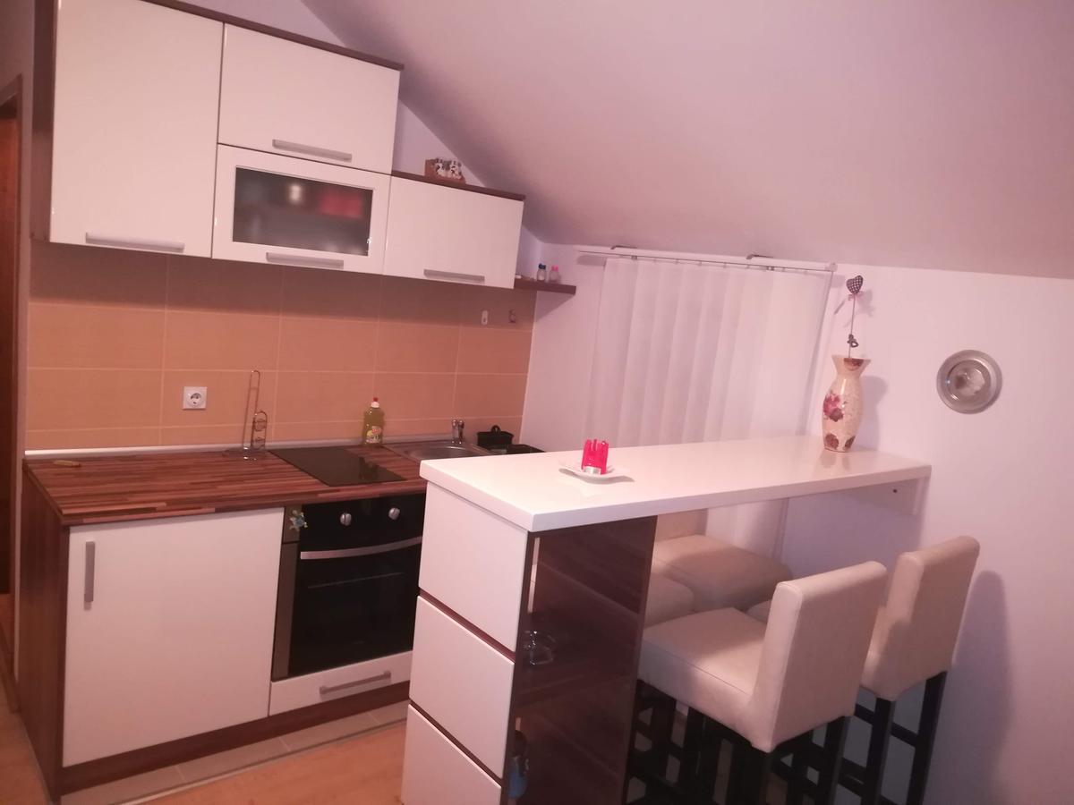 Apartman "Vienna" Soko Banja Dış mekan fotoğraf
