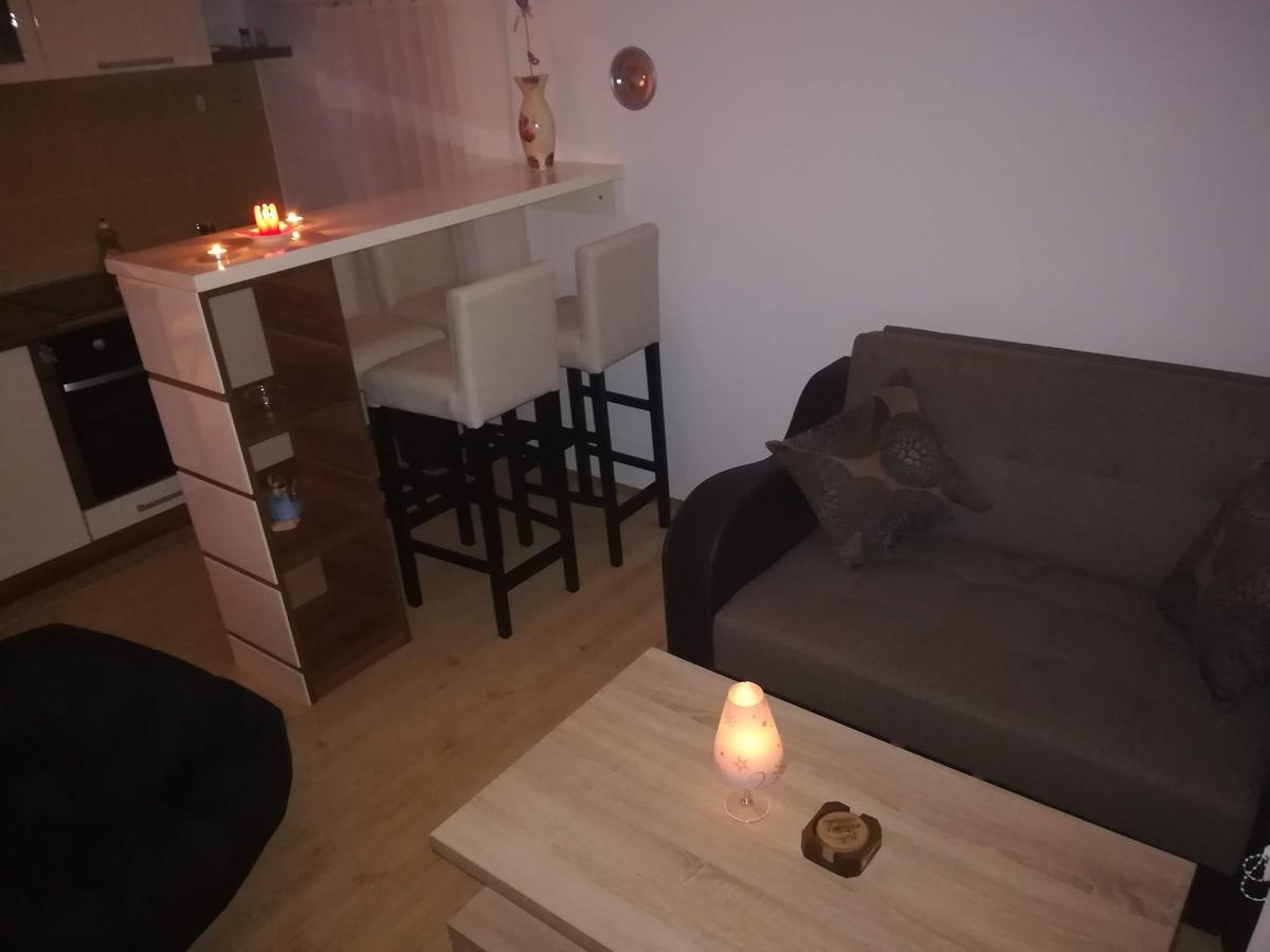 Apartman "Vienna" Soko Banja Dış mekan fotoğraf
